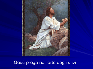 Diapositiva 1 - Salesiani Cibali