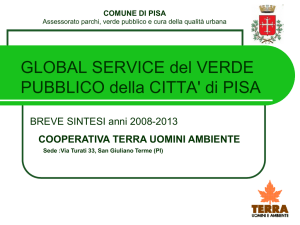 Global Service verde pubblico: sintesi attività