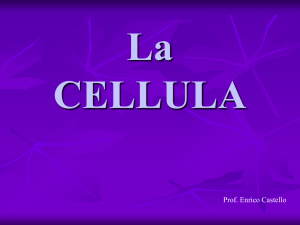 La Cellula