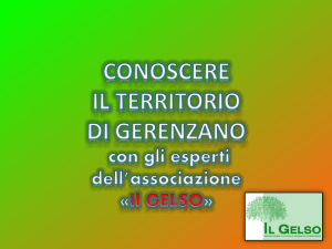 Diapositiva 1 - I.C. Gerenzano