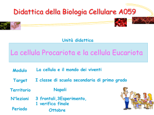 Diapositiva 1 - IC 28 Aliotta