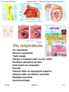 Vie respiratorie - Enciclopedia di Medicina Popolare