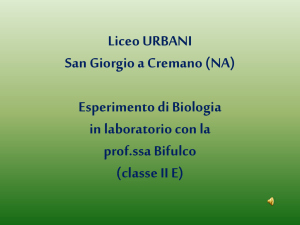 Diapositiva 1 - Liceo Urbani