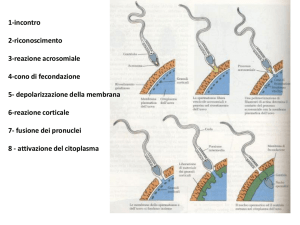 Diapositiva 1 - SCIENZE BIOLOGICHE