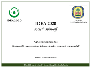 IDEA 2020 società spin-off