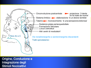 Presentazione di PowerPoint - Dipartimento di Farmacia