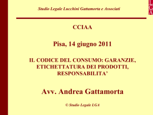 Seminario Codice del Consumo - Camera di Commercio di Pisa