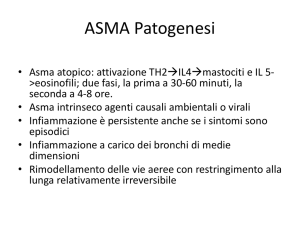 ASMA Patogenesi - FISIOTERAPIA