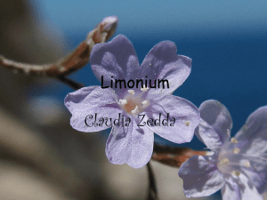 Limonium - Istituto Comprensivo Statale Quartucciu