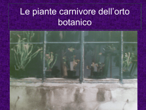 Piante Carnivore - IIS Duca degli Abruzzi Padova
