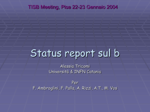 Status report sul b