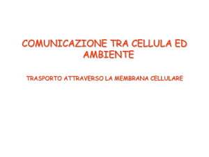 Diapositiva 1 - SIES Altiero Spinelli