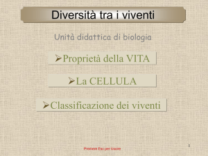 qui - Amica Scienza