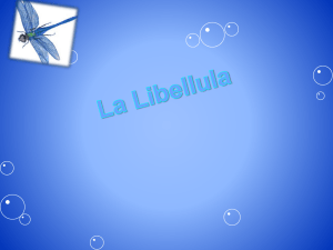 La Libellula