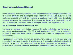 CATALISI ENZIMATICA