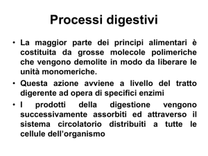 Processi digestivi - Scienze Motorie Unimi