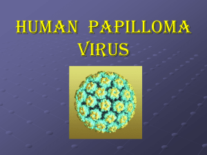MTS Papilloma virus - Istituto Pascal RE