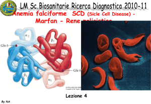 04 lm sbis ric_diagn.. - Dipartimento di Biologia