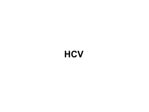 06- HCV-HEV-HGVMArcon