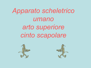 artosuperiore