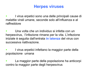 03 - herpes