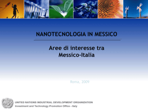 Diapositiva 1 - UNIDO ITPO Italy