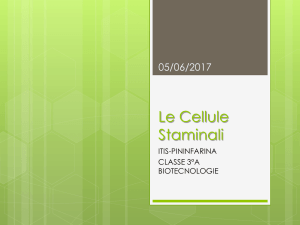 Le Cellule Staminali