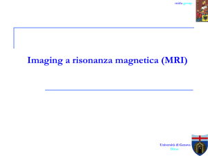 Imaging per risonanza magnetica (28-29 Maggio) - Iac-Cnr