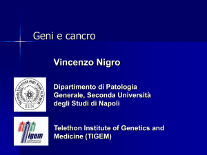 Geni e Cancro - vincenzonigro.it