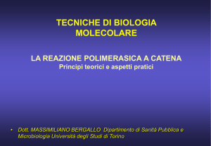 Presentazione di PowerPoint