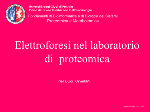 Diapositiva 1 - Biotecnologie - Università degli Studi di Perugia