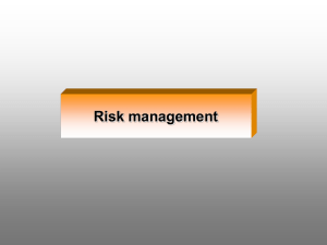 risk management_09_10.pps