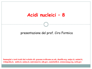 Acidi nucleici – 8