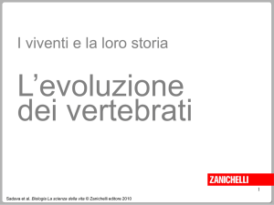 Diapositiva 1 - Fabio Varalta