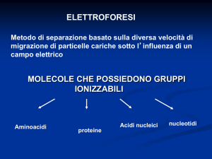 Elettroforesi