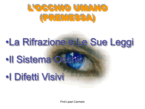 L`OCCHIO UMANO (PREMESSA)