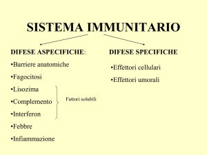 sistema immunitario - Sella Aalto Lagrange