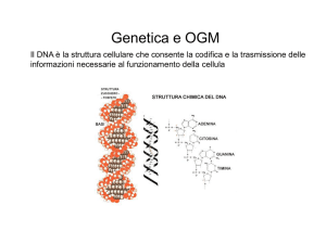 Genetica e OGM - Mirko Marangoni