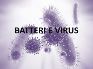 virus e batteri