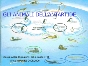 Gli animali dell`Antartide