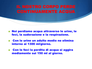 IL NOSTRO CORPO PERDE CONTINUAMENTE ACQUA