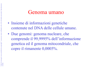 14 organizzazione genoma umano