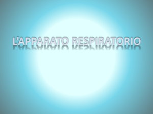 l`apparato respiratorio - NATUROPATIA gruppo 2013