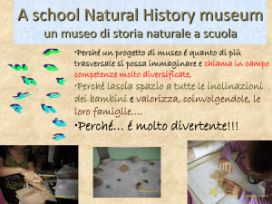 A school Natural History museum un museo di storia naturale a scuola