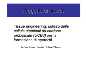 Tissue engineering - Cell Factory Mantova