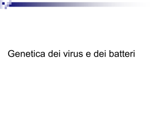 Genetica dei virus e dei batteri