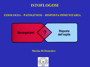 Diapositiva 1 - vincenzonigro.it