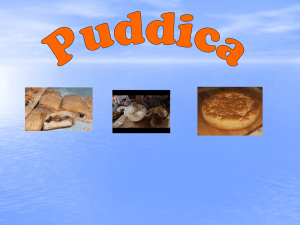 Puddica