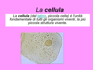 laboratorio - Eurekalbinea