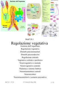 Regolazione vegetativa, Anatomia, Fisiologia c